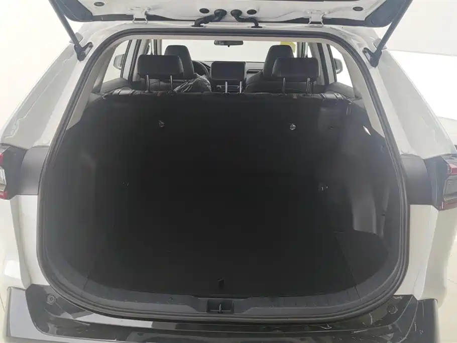 Wildlander 2.0 L CVT 2 WD Luxury PLUS