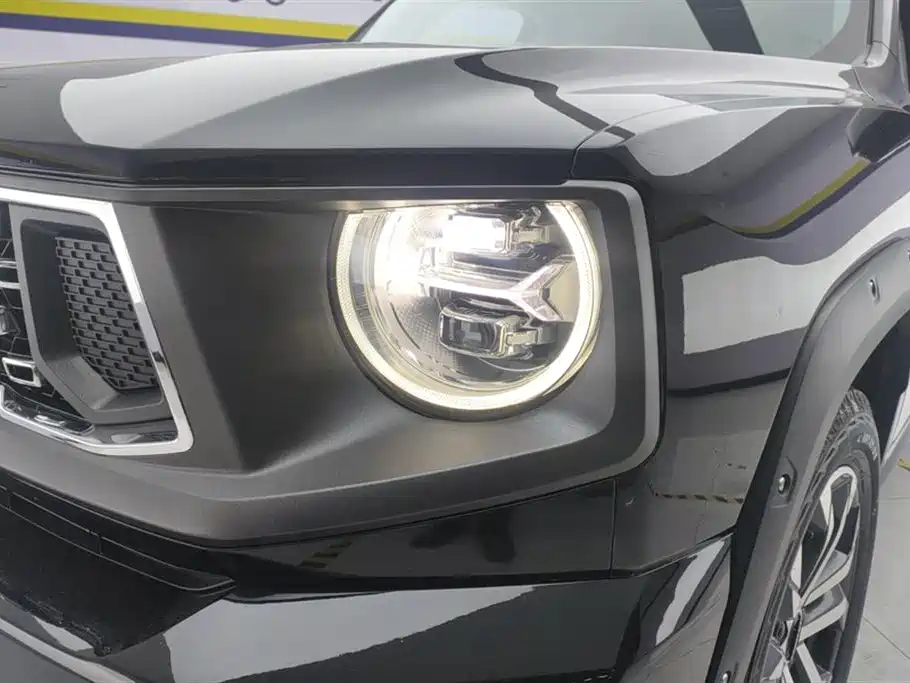Haval Dargo PLUS 1.5 T 2 WD Trend Wild Plus