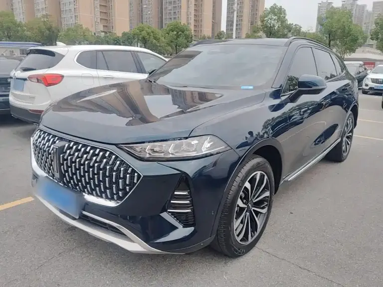 WEY Mocha 2.0 T 2 WD Pure
