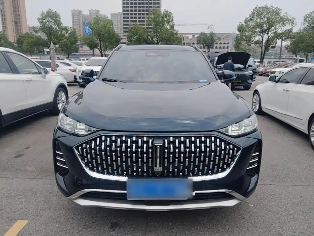 WEY Mocha 2.0 T 2 WD Pure