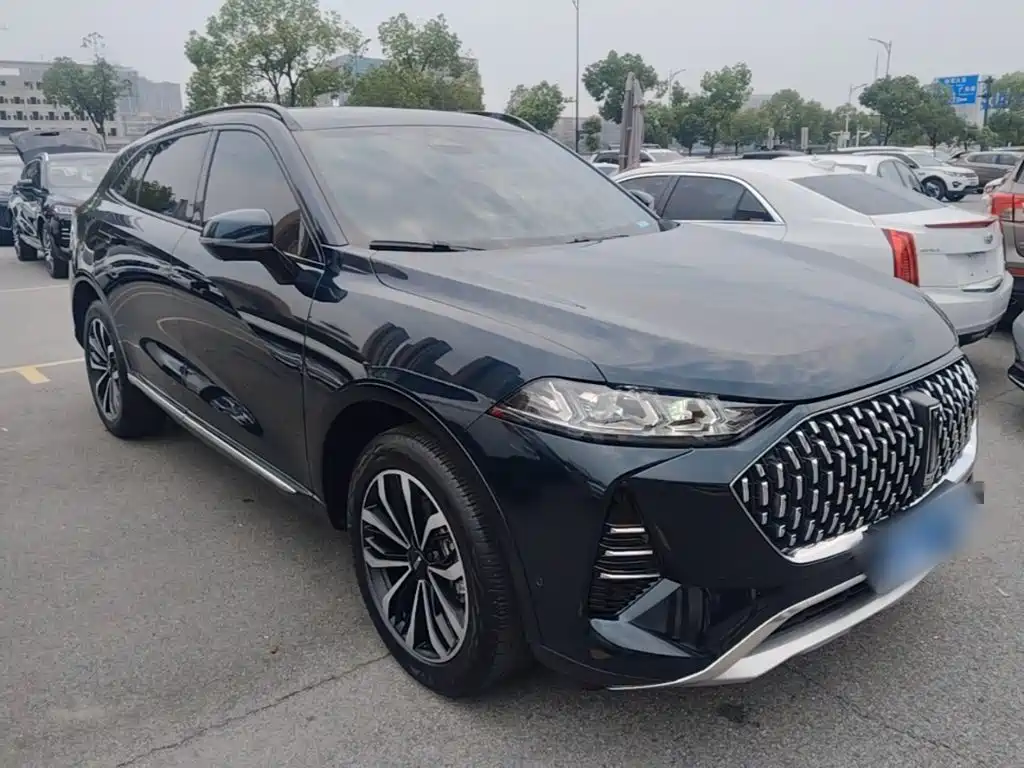 WEY Mocha 2.0 T 2 WD Pure
