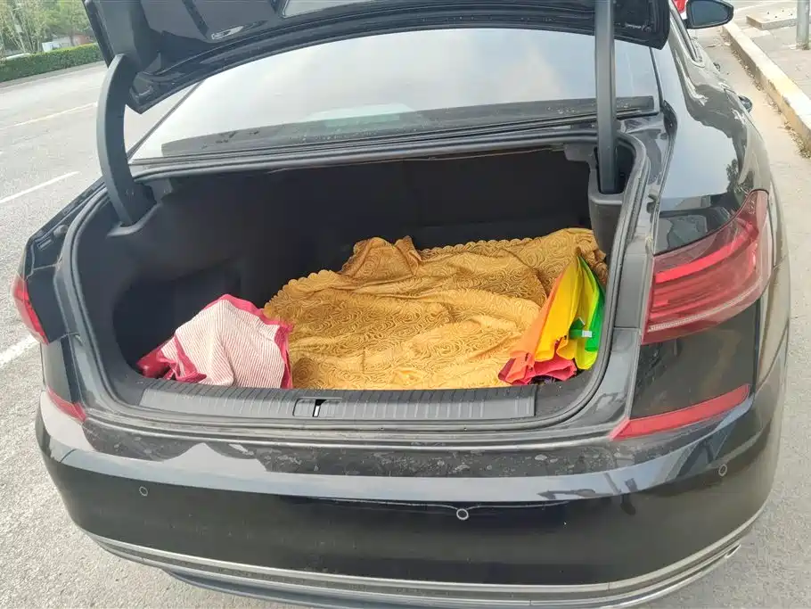 Passat 330 TSI Starry Sky Luxury