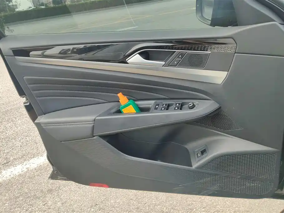 Passat 330 TSI Starry Sky Luxury