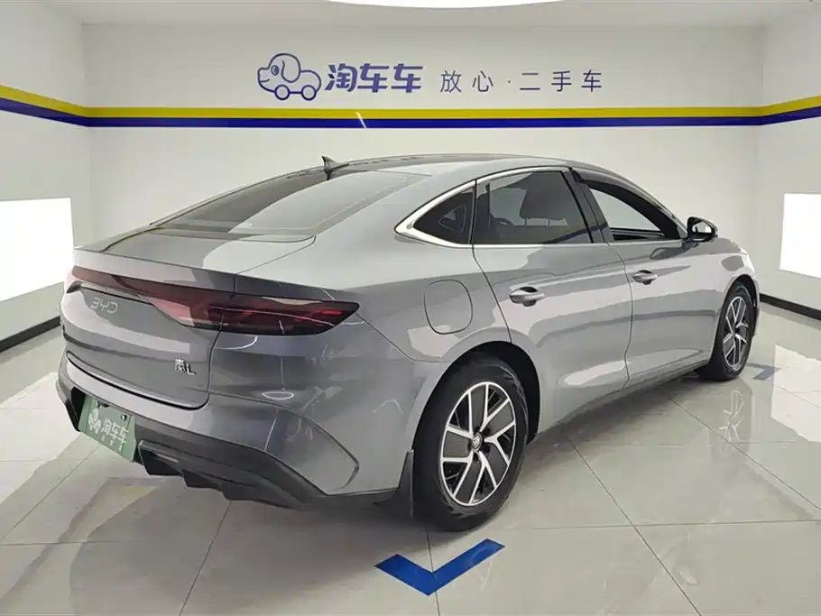 Qin L DM-i 80 KM Transcend