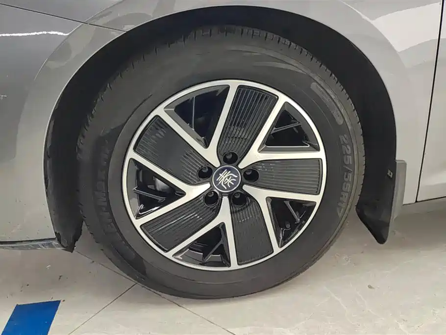 Qin L DM-i 80 KM Transcend