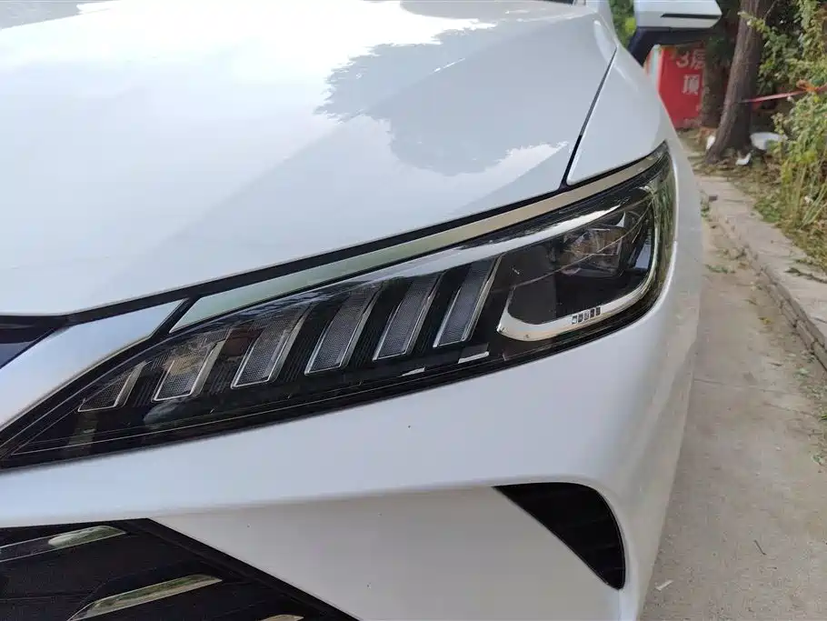 Qin PLUS DM-i Smart Drive 55 KM Leading
