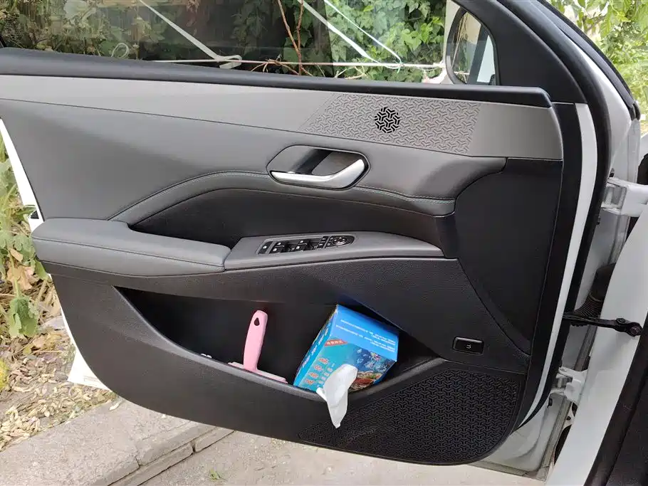 Qin PLUS DM-i Smart Drive 55 KM Leading
