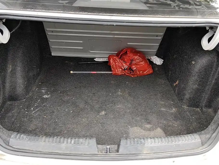 Santana 1.6 L Auto Style