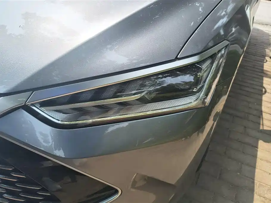 Qin PLUS DM-i 55 KM Flagship