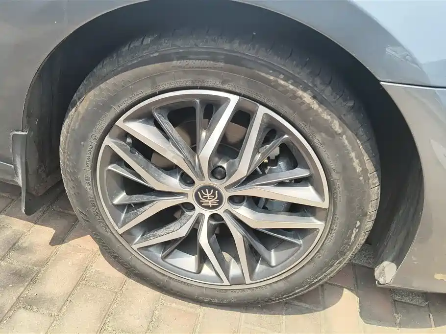 Qin PLUS DM-i 55 KM Flagship