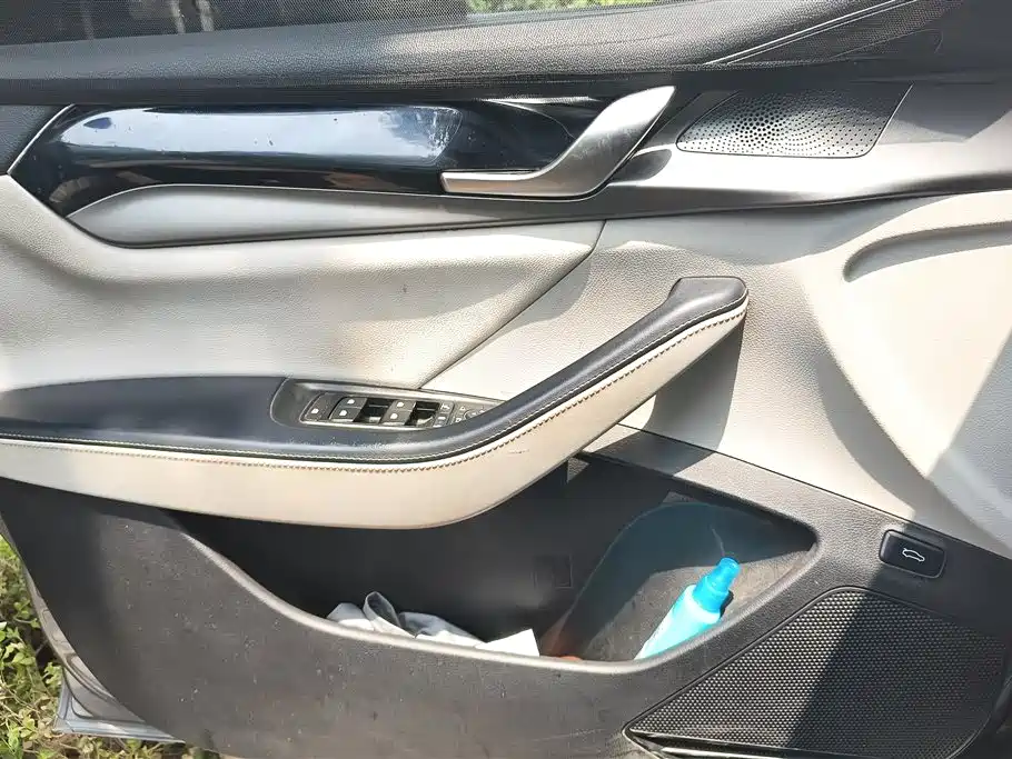 Qin PLUS DM-i 55 KM Flagship