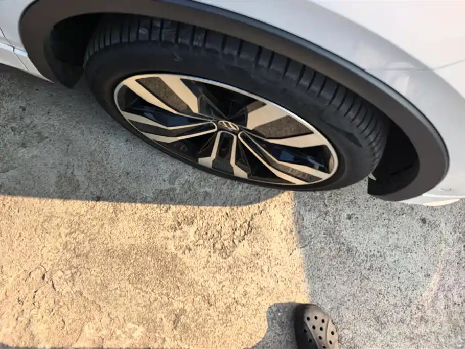 Tiguan X 途观X 2022款 330 TSI 两驱尊崇旗舰版