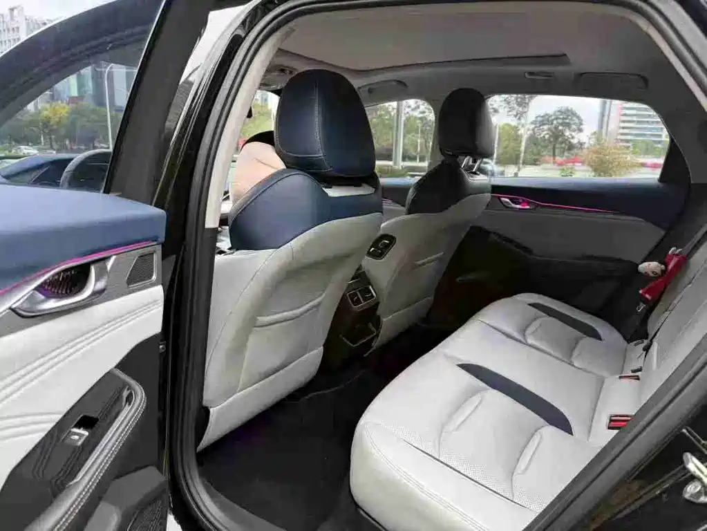 Xingrui 2.0 TD Luxury