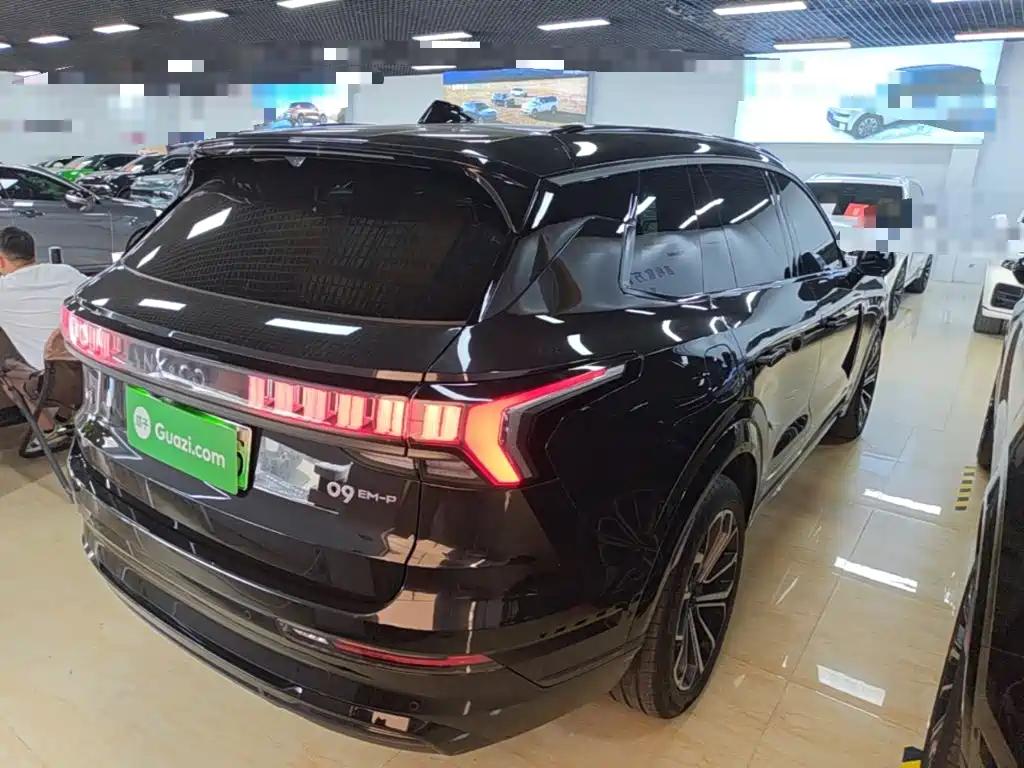 Lynk & Co 09 EM-P 领克09 EM-P 2024款 2.0 TD EM-P 四驱HALO 六座