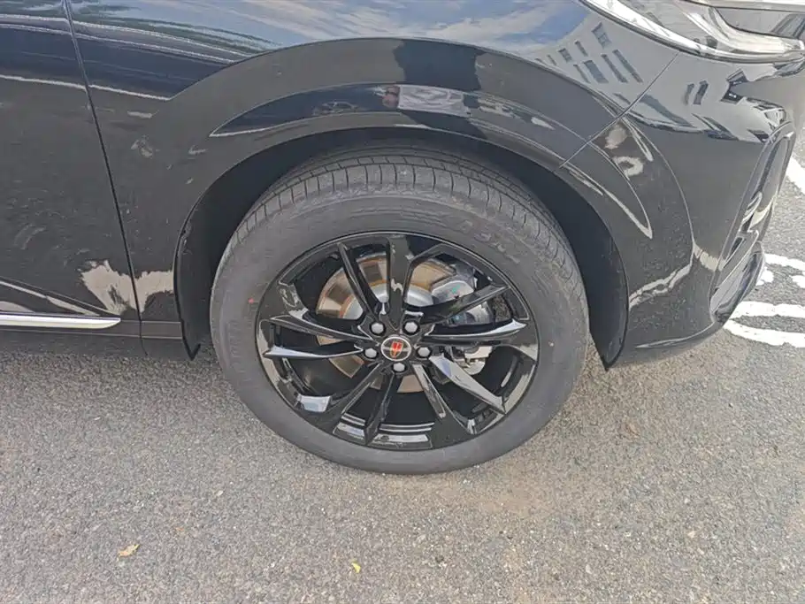 Hongqi HS3 PHEV 115 km Power Action