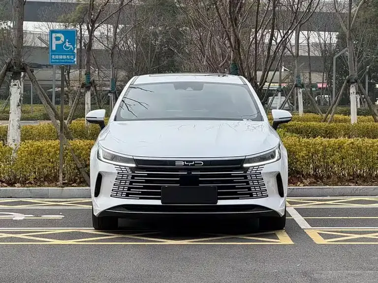 BYD Destroyer 05 Champion DM-i 55 KM Distinguished