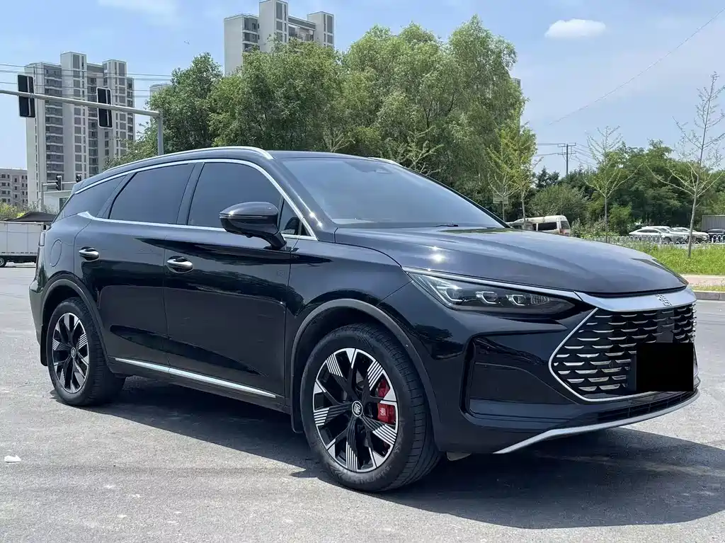 Tang NEV DM-p Champion 215 KM 4 WD Premium