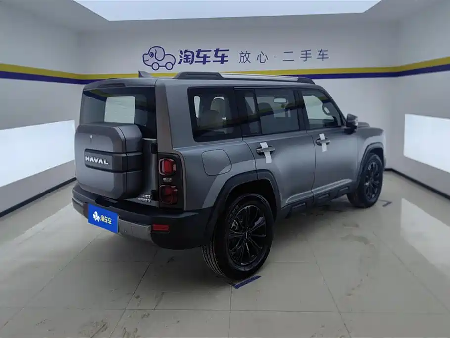 Haval Menglong NEV Hi4 145 Cross