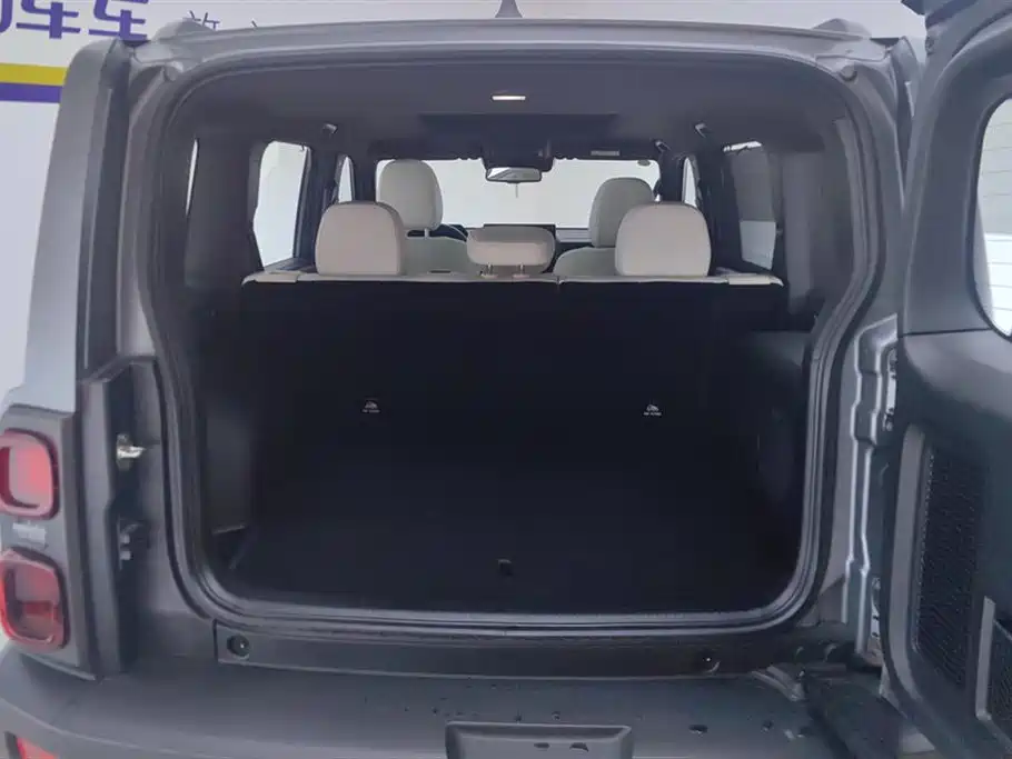 Haval Menglong NEV Hi4 145 Cross