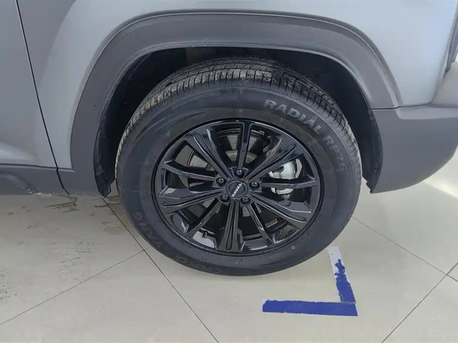 Haval Menglong NEV Hi4 145 Cross