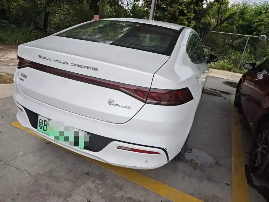Qin PLUS DM-i 55 KM Distinguished