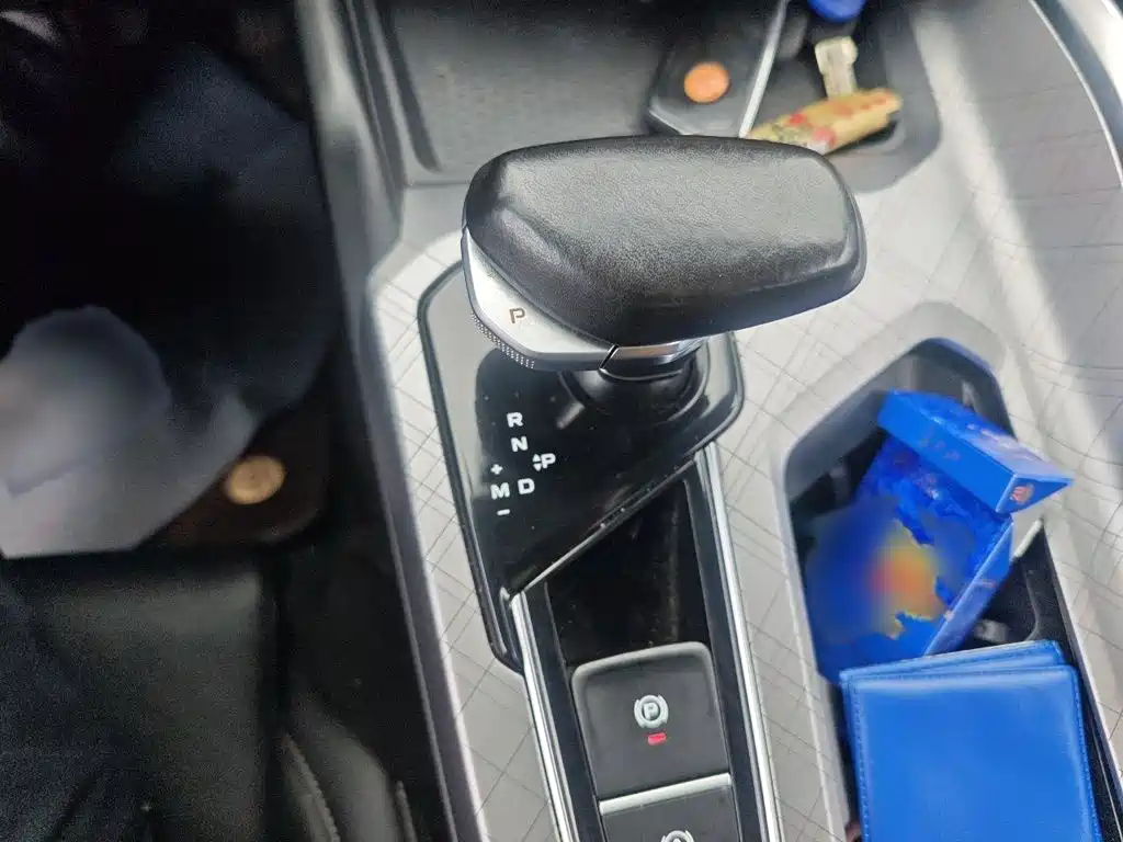 Xingrui 2.0 TD Luxury
