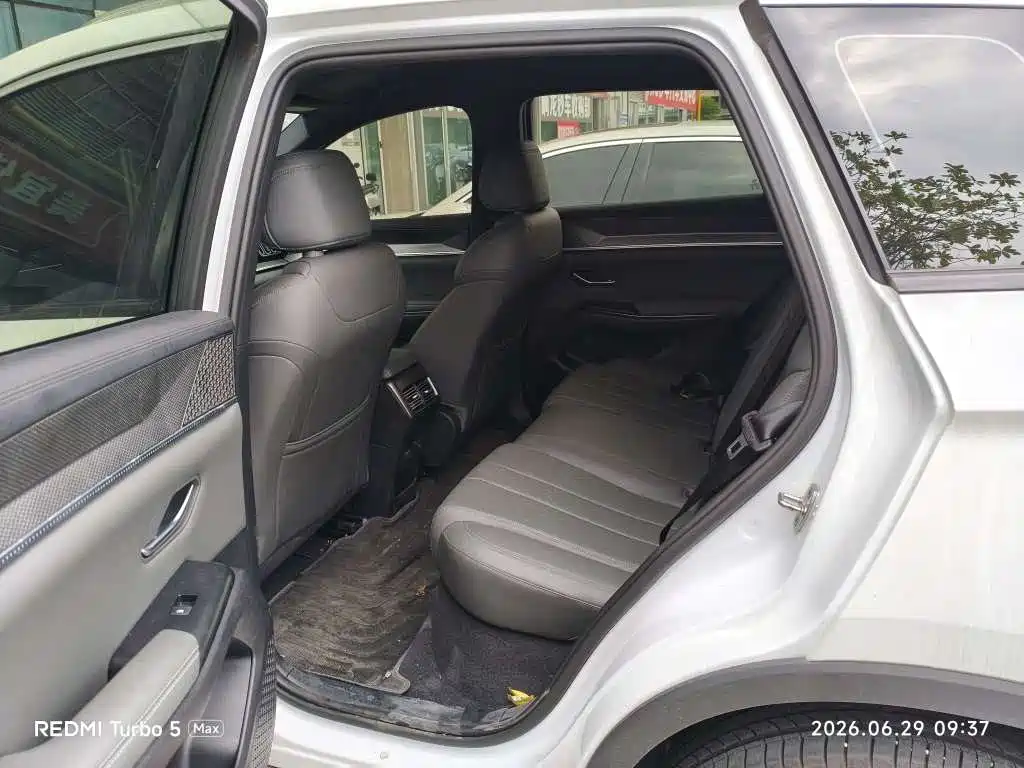 Song Pro NEV 2 nd Gen Smart Drive DM-i 75 KM Leading