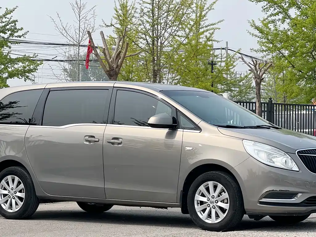 Buick GL8 25 S Comfort CN-V