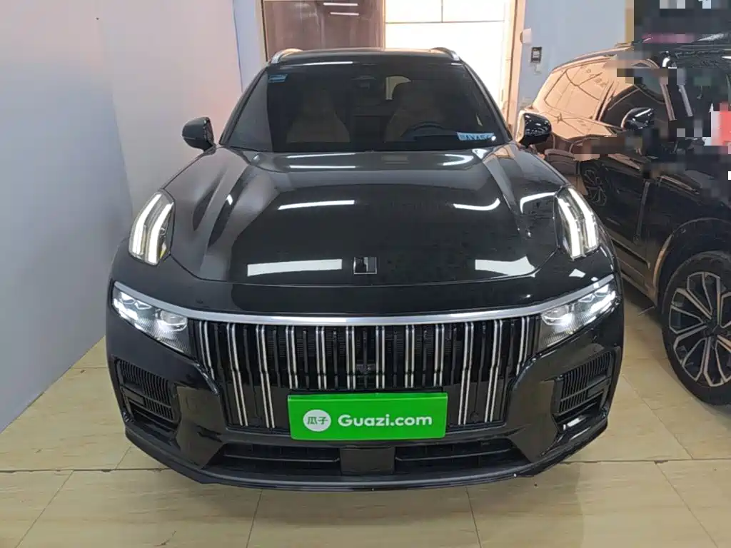 Lynk & Co 09 2.0 T 4 WD Sport 5-seat