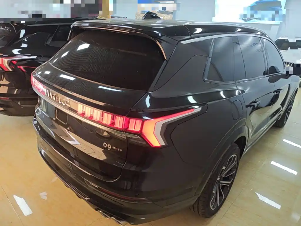 Lynk & Co 09 2.0 T 4 WD Sport 5-seat