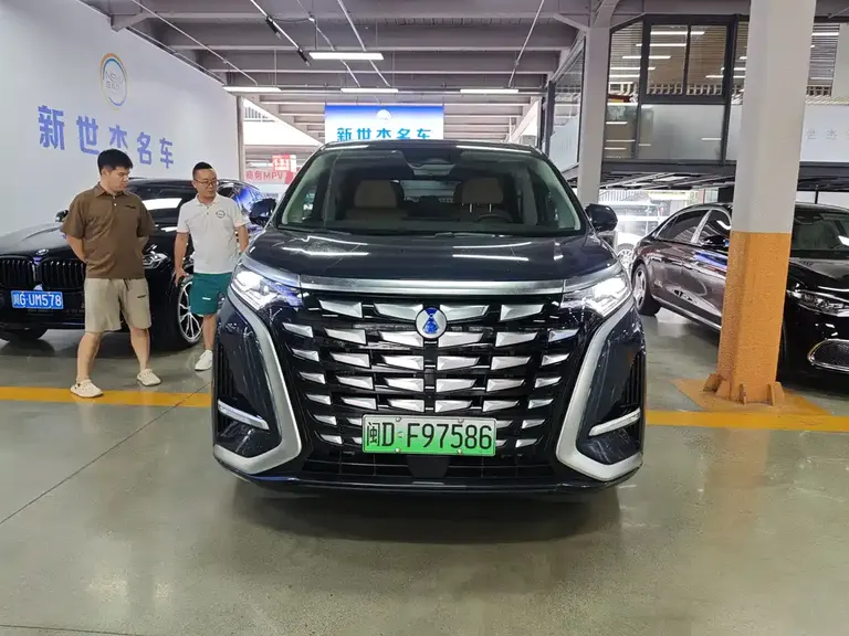 Denza D9 DM-i 1050 Premium