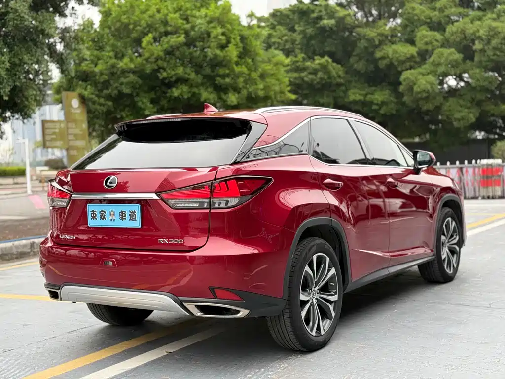 Lexus RX 300 4 WD Elegant CN-VI