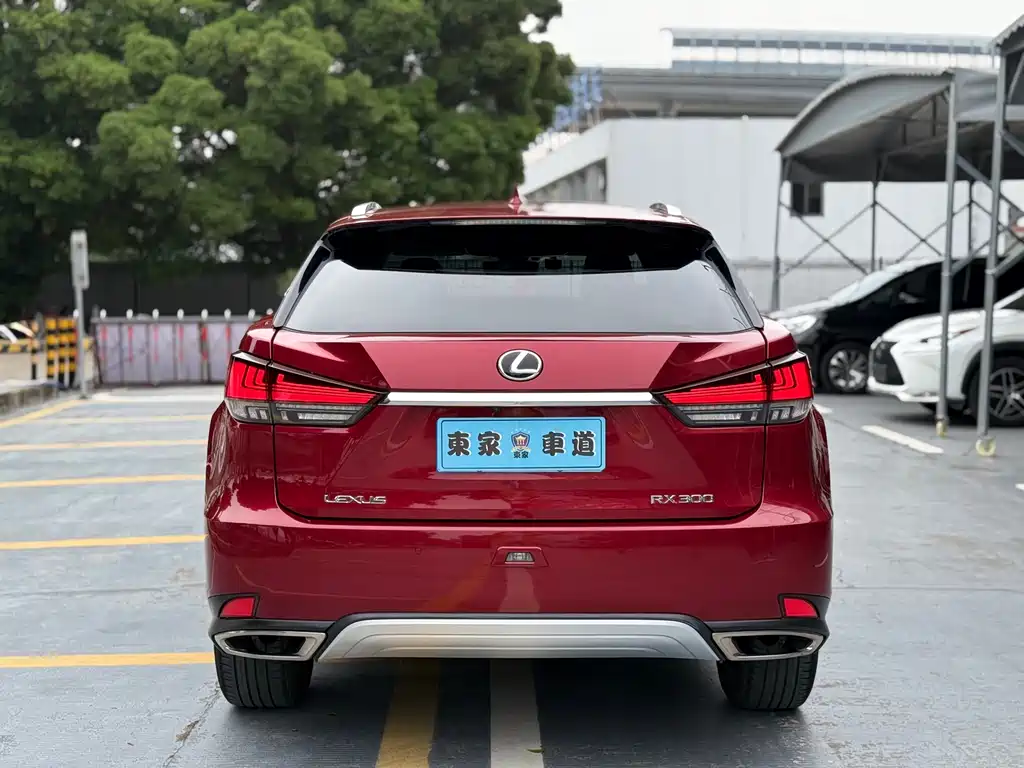 Lexus RX 300 4 WD Elegant CN-VI