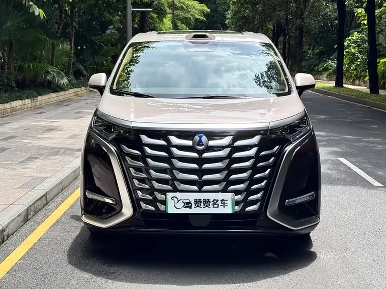 Denza D9 腾势D9 2025款 DM-i 四驱至尊型