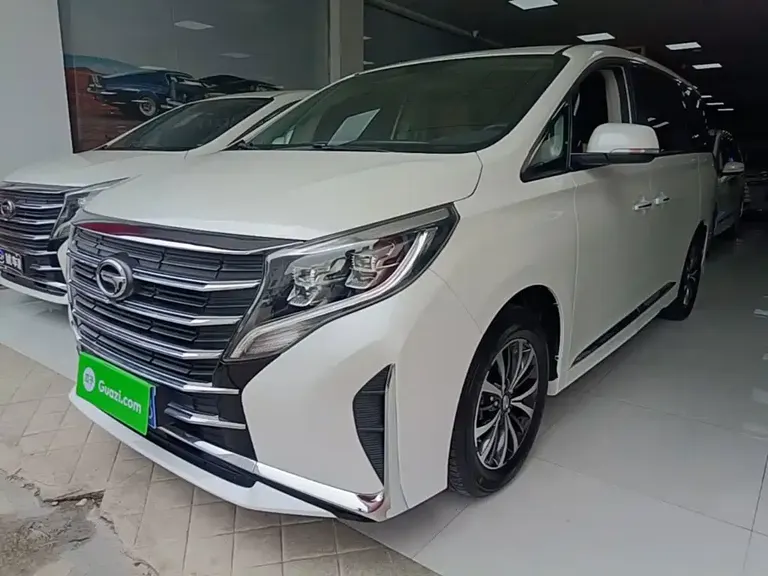 GAC Trumpchi M8 Leading Show Series 390 T Premium