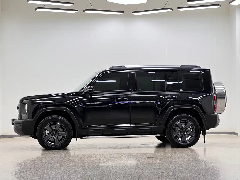 Haval Menglong NEV Hi4 145 Explorer