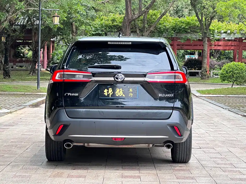Wildlander 2.0 L CVT 2 WD Luxury