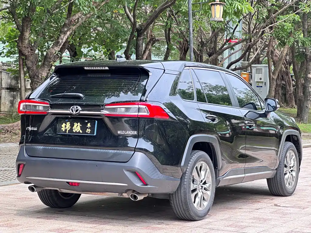 Wildlander 2.0 L CVT 2 WD Luxury