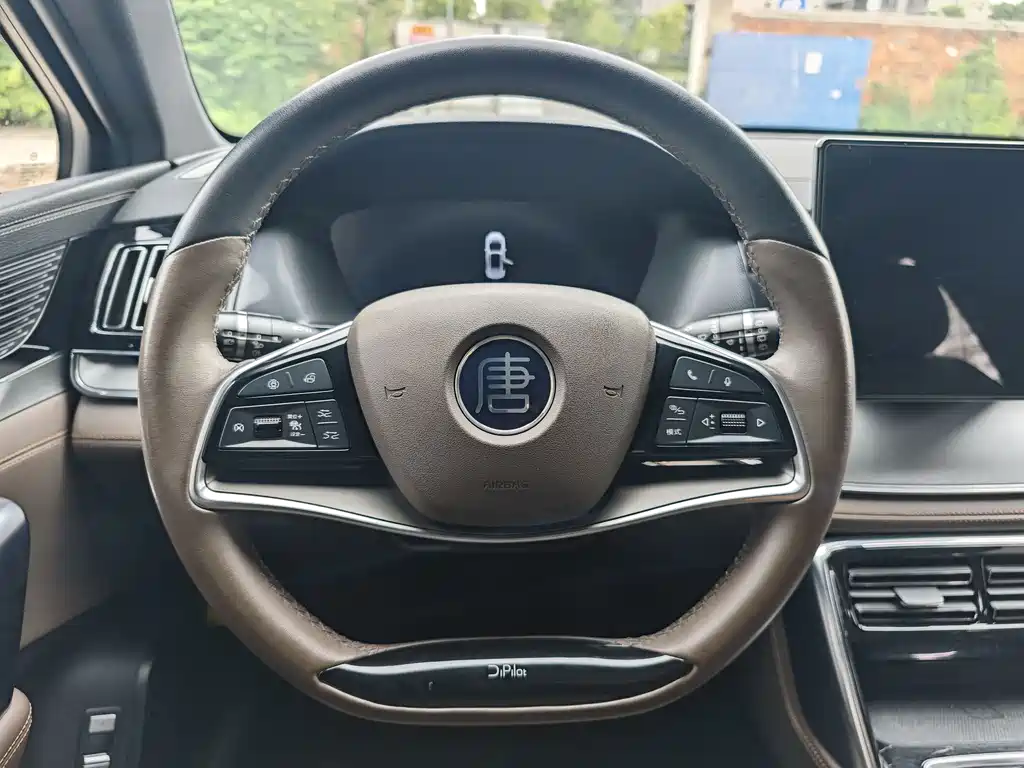 Tang 2.0 T Auto Flagship
