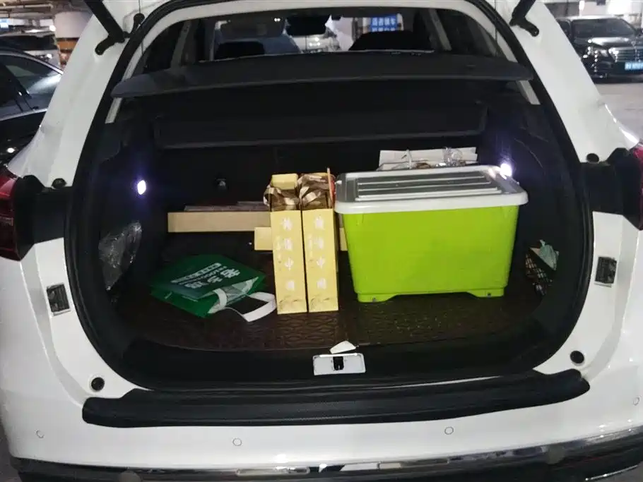 Hongqi HS5 2.0 T Connected Flagship Enjoyment