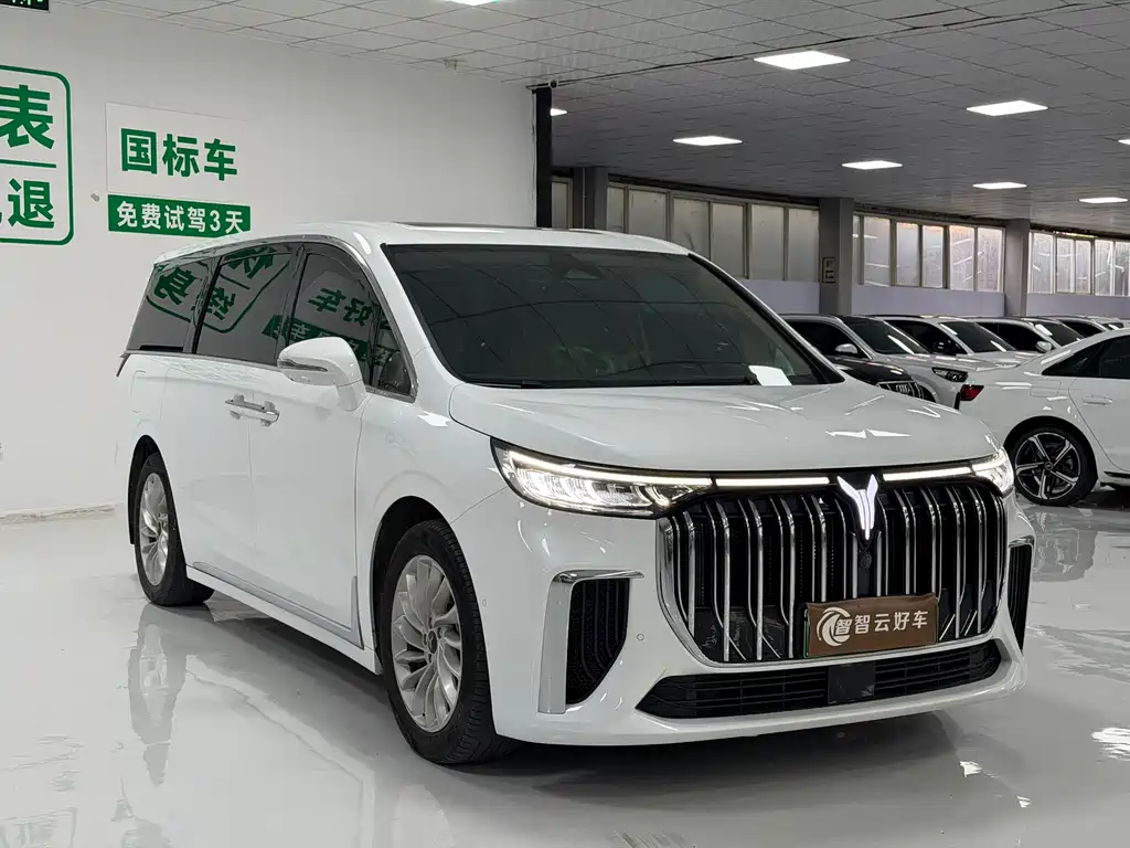 Voyah Dreamer PHEV Ultra Long Range Distinguished