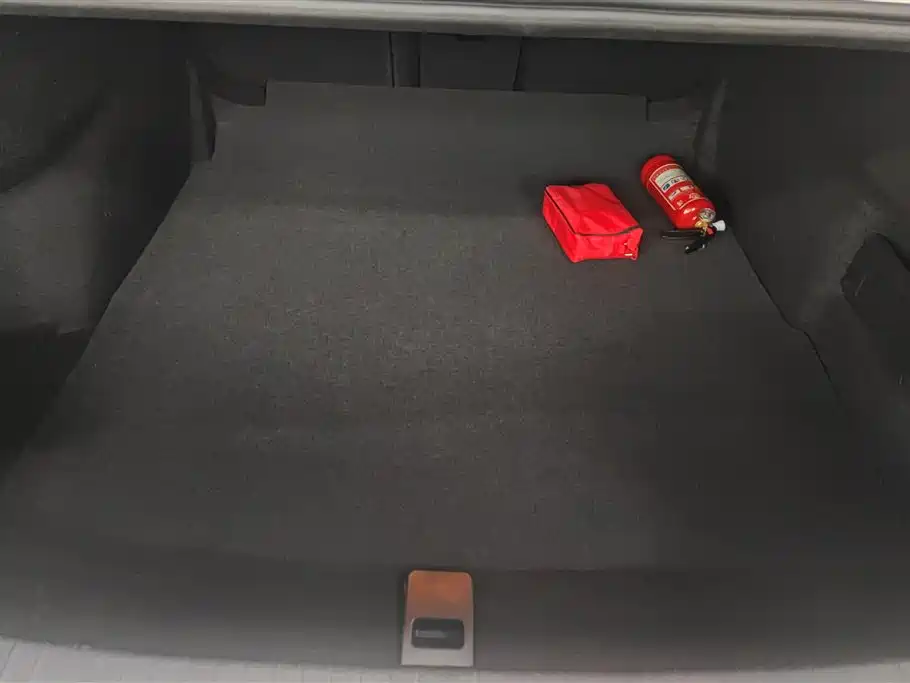 Magotan 330 TSI DSG Leading