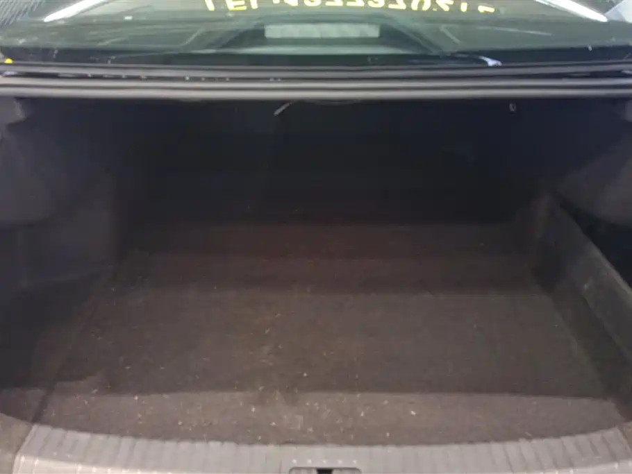 Passat 330 TSI Starry Sky Elite