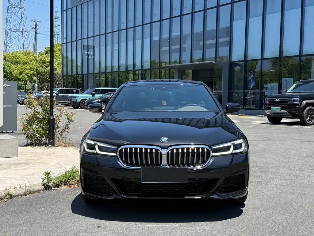 BMW 5 Series 530 Li Leading Luxury Package