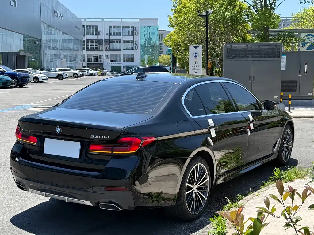 BMW 5 Series 530 Li Leading Luxury Package