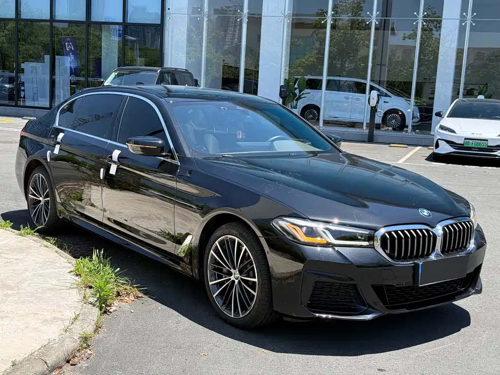 BMW 5 Series 530 Li Leading Luxury Package