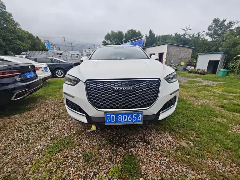 Haval F5 1.5 T i Trend