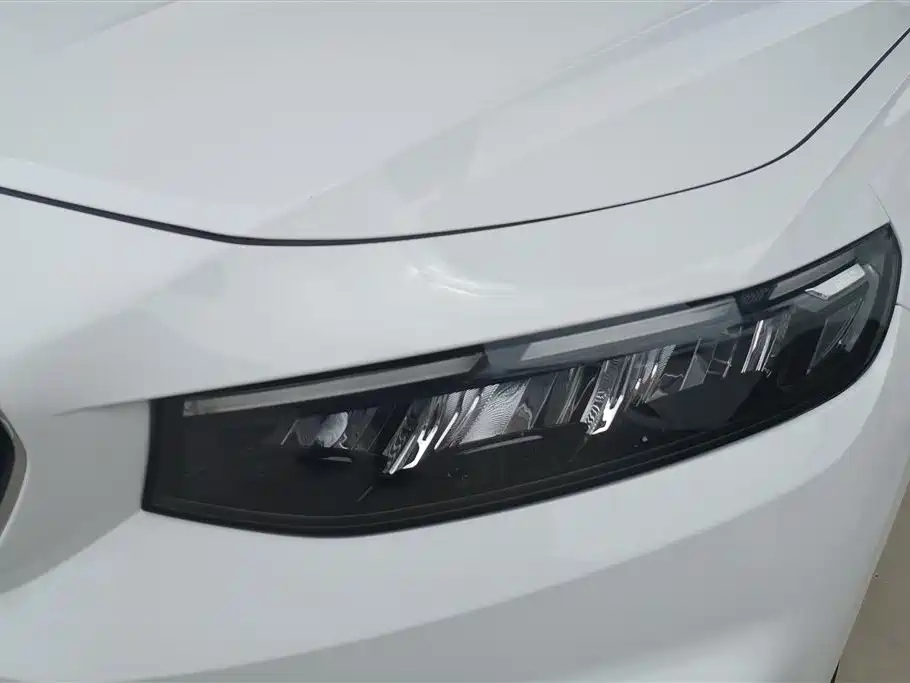 Xingrui 2.0 TD Luxury
