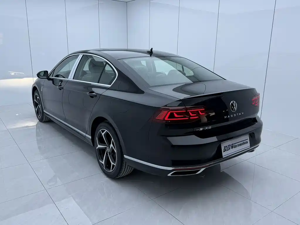 Magotan Public Enjoyment 280 TSI DSG Luxury