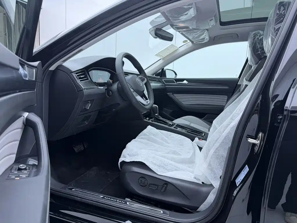 Magotan Public Enjoyment 280 TSI DSG Luxury